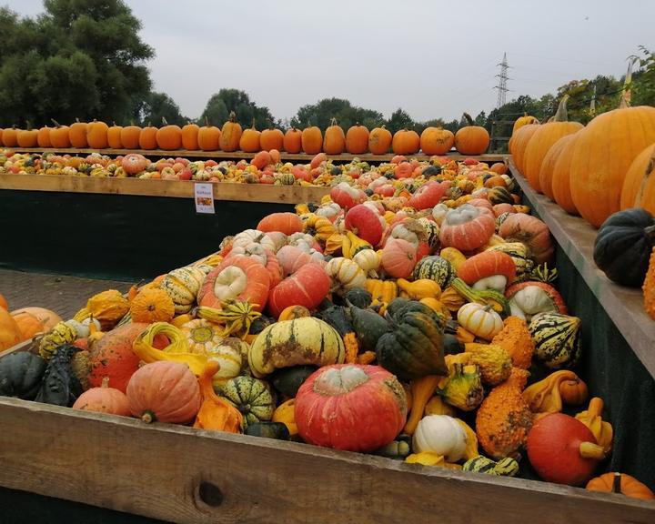 Bauerngarten Benninghoven